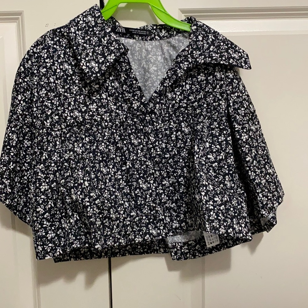 Zara crop top